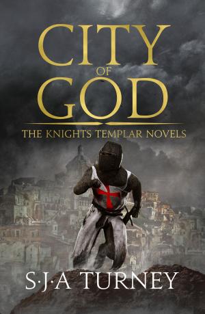 Cover of the book City of God by Palle Rosenkrantz