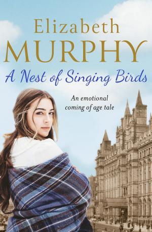 Book cover of A Nest of Singing Birds