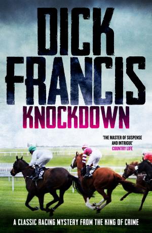 Cover of the book Knockdown by Martin Davies