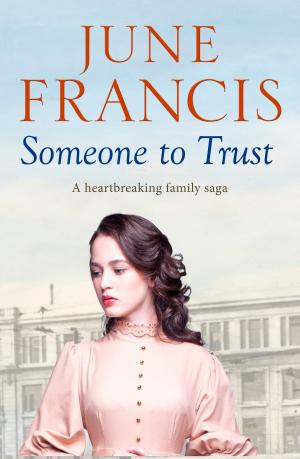 Cover of the book Someone to Trust by James Barrington