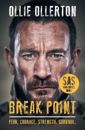 Cover of the book Break Point by Pollinger Ltd., Kevin Brennan
