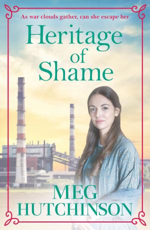 Cover of the book Heritage of Shame by Shari Low