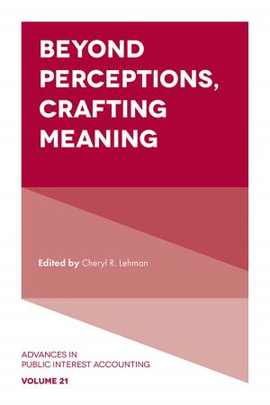 Cover of the book Beyond Perceptions, Crafting Meaning by 