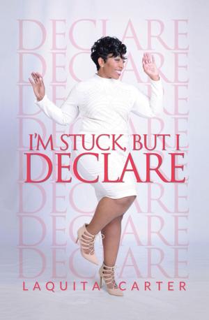Cover of the book I’m Stuck, but I Declare by Josh Roggenbuck