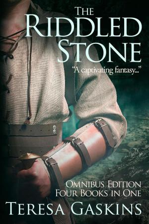 bigCover of the book The Riddled Stone by 
