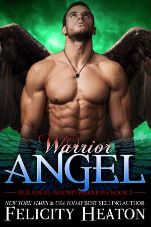 Cover of Warrior Angel (Her Angel: Bound Warriors paranormal romance series Book 3)