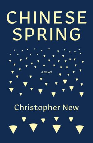 Cover of the book Chinese Spring by Ian Stephen