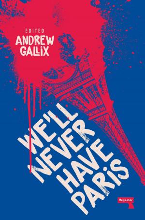 Cover of the book We'll Never Have Paris by Paige Orwin