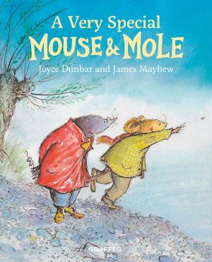 bigCover of the book A Very Special Mouse & Mole by 