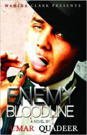 Cover of the book Enemy Bloodline by Laura Wright LaRoche
