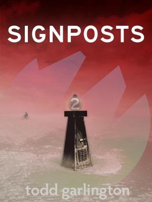 Cover of the book Signposts Vol 2 by Ron Rash
