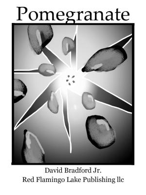 Cover of the book Pomegranate by David Bradford Jr.