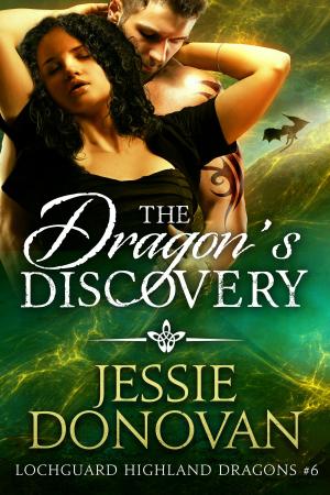 Cover of the book The Dragon's Discovery by Jennette Marie Powell