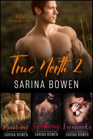 Cover of the book True North Box Set Volume 2 by Abbie Zanders