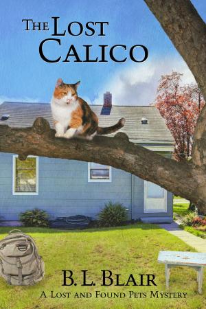 Cover of the book The Lost Calico by Charles Harry Whedbee