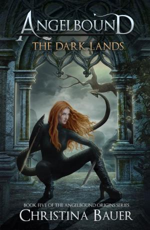 Cover of the book The Dark Lands by Christina Bauer