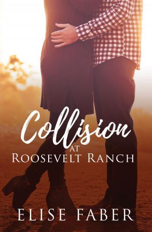 Cover of the book Collision at Roosevelt Ranch by Arlene Phillips