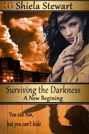 Cover of the book Surviving the Darkness by K. M. Tolan