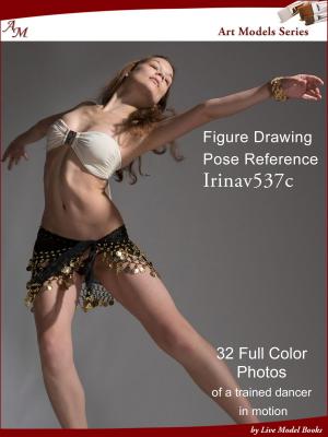 Cover of the book Art Models IrinaV537c by Douglas Johnson