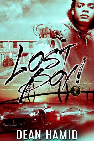 Cover of the book Lost Boy by Mark Terry
