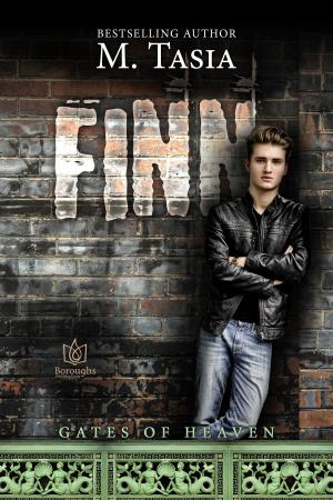 Cover of the book Finn by Minda Webber