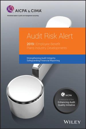 Cover of the book Audit Risk Alert by Knut Stamnes, Jakob J. Stamnes
