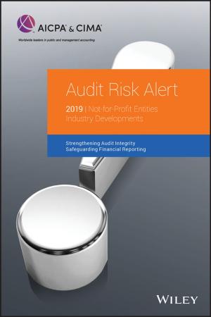 Cover of the book Audit Risk Alert by Jyrki T. J. Penttinen