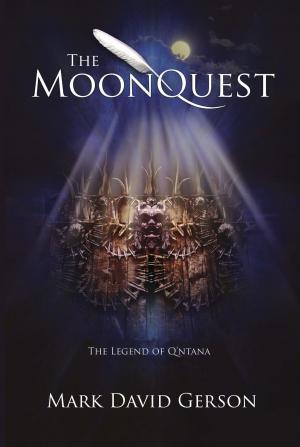 Book cover of The MoonQuest