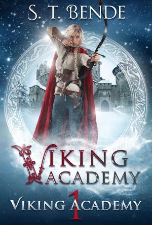 Book cover of Viking Academy: Viking Academy