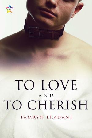 Cover of the book To Love and to Cherish by Gillian St. Kevern