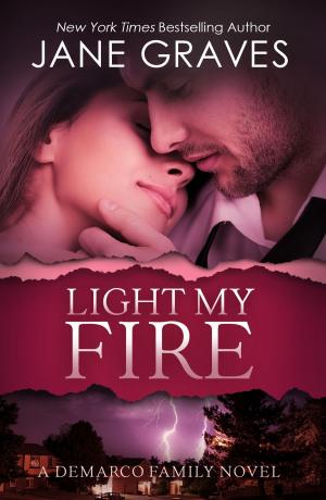 Cover of the book Light My Fire by Nan Reinhardt