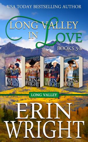 Cover of the book Long Valley in Love by Erin Wright, Suzie O'Connell, Lisa Mondello, Ann B. Harrison, Shirleen Davies, Jean Brashear, SJ McCoy, Stacey Joy Netzel