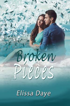 Cover of the book Broken Pieces by Liz Matis