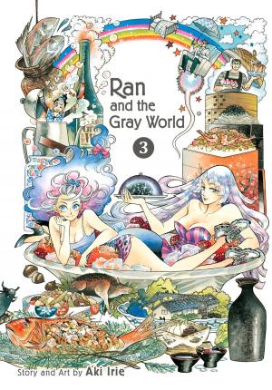 Cover of the book Ran and the Gray World, Vol. 3 by Akira Toriyama