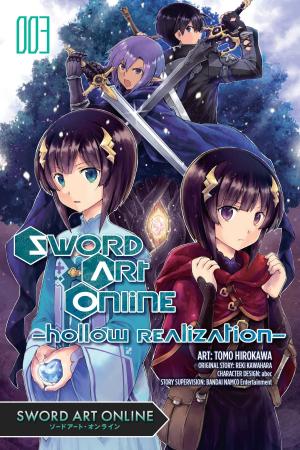 Book cover of Sword Art Online: Hollow Realization, Vol. 3