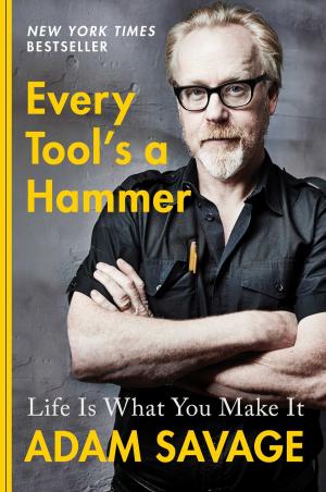 Cover of the book Every Tool's a Hammer by Jonathan Nasaw
