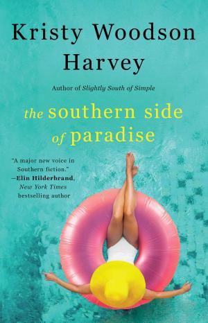 Cover of the book The Southern Side of Paradise by Michele Richard