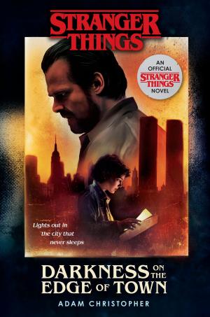 bigCover of the book Stranger Things: Darkness on the Edge of Town by 
