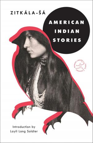 Cover of the book American Indian Stories by Aaron Allston