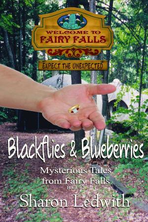 Cover of the book Blackflies and Blueberries by Justine Alley Dowsett, Murandy Damodred