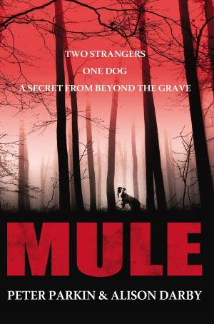 Cover of the book MULE by Kristina M. Serrano