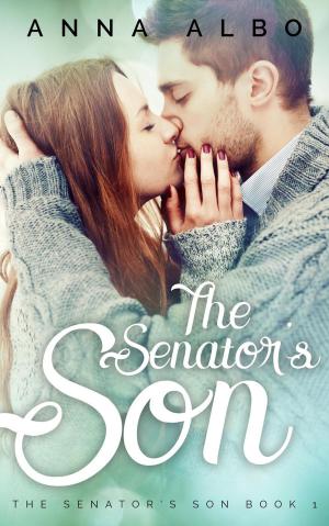 Cover of the book The Senator's Son by Rue Morgen