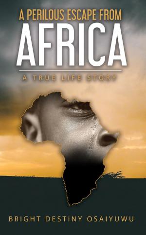 Cover of the book A Perilous Escape from Africa by Jack Coull