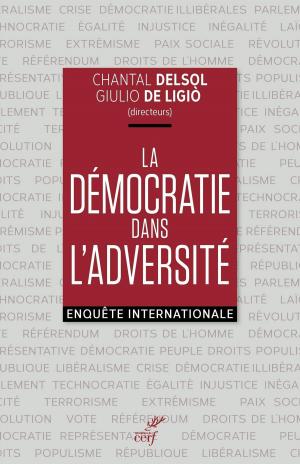 Cover of the book La démocratie dans l'adversité by Angele de foligno