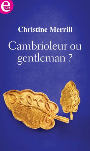 Book cover of Cambrioleur ou gentleman ?