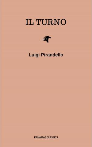 Book cover of Il turno