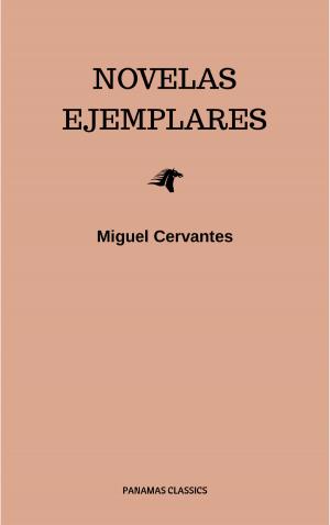 Cover of the book Novelas Ejemplares by Raymond Lobo
