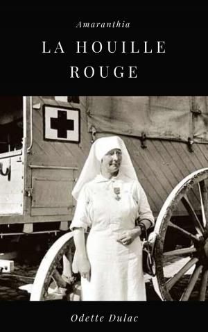Cover of the book La Houille Rouge by Carol Gregor Luethi