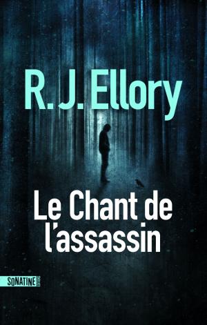 Cover of the book Le Chant de l'assassin by David WONG