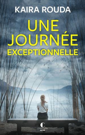 Book cover of Une journée exceptionnelle